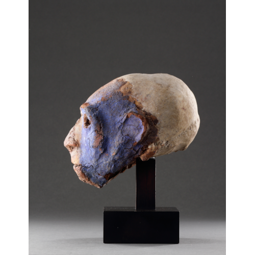 A Superb Malakula Elongated Head